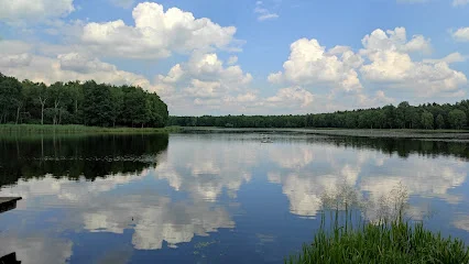 Pojezierze Palowickie